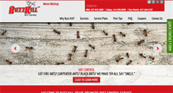 Desktop Screenshot of buzzkillpestcontrol.com